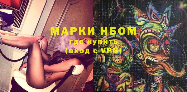 индика Заволжье