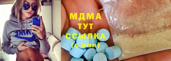 индика Заволжье