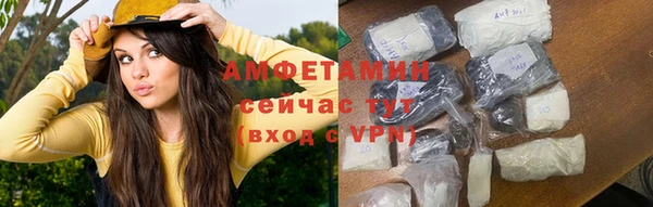 индика Заволжье