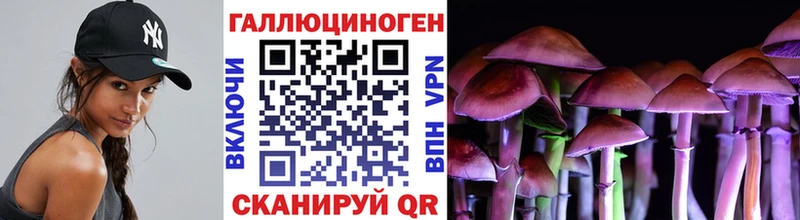 Псилоцибиновые грибы Psilocybine cubensis  Купить закладки  Конаково 